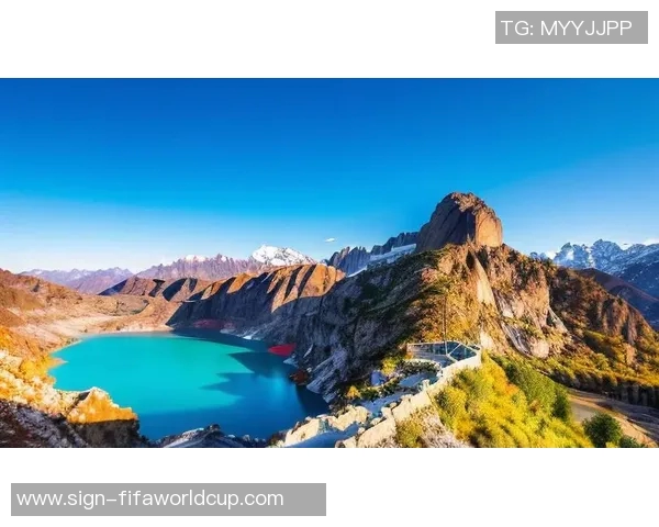 贾诚：在时代浪潮中追寻梦想与坚持的力量